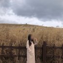 신화온수마루 | 제주 신화월드 서머셋 패밀리 스위트 워터파크 테마파크 신화관 총정리