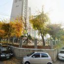 행당로11번길 이미지