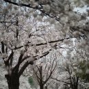 물태리 다목적회관 이미지