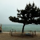 정동진2리 이미지