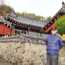 돼지가왔소 이미지