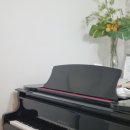 파인트리음악학원 이미지