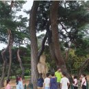 월성초등학교 이미지