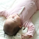 인형의 거리(용) 이미지