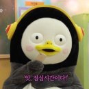 번양집(당산점) 이미지