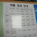 양양 여행 숲속기차열차와 집라인타러 레포벨리에 다녀왔어요