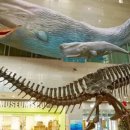 서대문자연사박물관 이미지