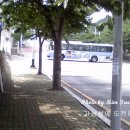 세성주유소 Daum카페