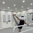 노블발레무용학원 이미지