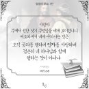 헤세드(Chesed)