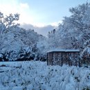 광덕근린공원 이미지