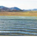 신월운동장 앞 이미지