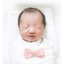 멧돼지집 | 멧돼지 꿈 태몽 해몽 성별 여자 아기 성향 후기