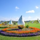 오천그린광장 이미지