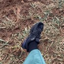 신흥목장 이미지