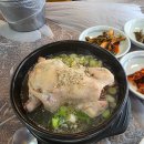 #진부면맛집#평창현지인맛집#장수현산양을품은닭