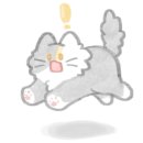 씨씨즈왁싱 이미지