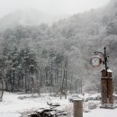 구마일주통나무산장 이미지