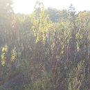 김순기농장 이미지