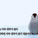 아지&냥이 이미지