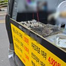 옛날건어물 | 대구 신암동 푸드트럭, 맥반석 건어물구이 솔직 후기! 야식 유혹에 넘어가다