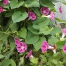 기분좋은날 - 서구 내당동 | 기분좋은날