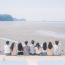 그라시아 이미지