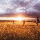 24시 명동물메디컬센터 이미지