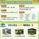 발밤발밤 이미지