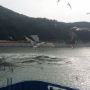 육해공 이미지