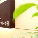 예스정형외과병원
