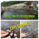 한그루민박 이미지