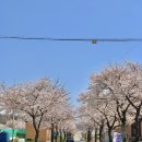 그라제 커피