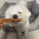 까까다멍 이미지