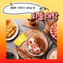 광장20호 | 창원용호동 와플대학 창원용호캠퍼스ㅣ 초코범벅 젤라또 와플 후기