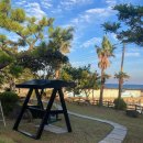 제주도 게스트하우스 파티 빅썸 | 서귀포게스트하우스 신나게 파티를 즐길 수 있는 제주도 게스트하우스 파티 빅썸