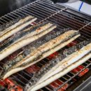 대명송어 이미지