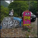 귀촌 야영장 이미지