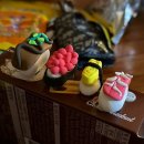 소호 푸른정원 이미지