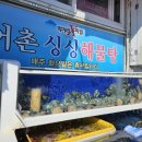 싱싱해물탕 이미지