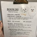 영일대 해수욕장 애견동반 숙소 브라운도트호텔 포항 여객터미널점(+환여횟집 포장 후기)