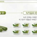 티그린 이미지