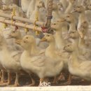 나주농장 이미지