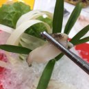 제주이즈 이미지