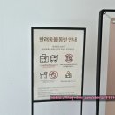 아디다스 군산점 네이버블로그