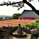 흥륜사 - 1429 | 흥륜사