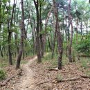 고모령길 이미지