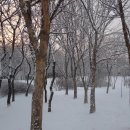 부평공원 이미지