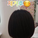 라푼젤붙임머리 - 전주시 완산구 봉곡로 39 | 라푼젤붙임머리