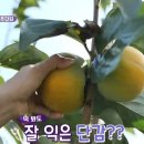 장성농장 이미지